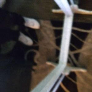 Meet your Posher, Raynard